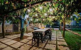 Il Giardino Dei Limoni